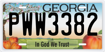 GA license plate PWW3382