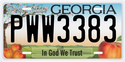 GA license plate PWW3383
