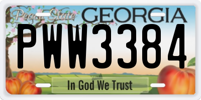 GA license plate PWW3384