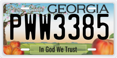 GA license plate PWW3385