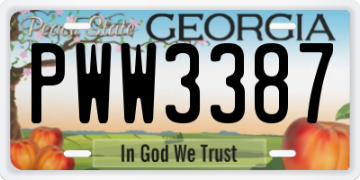 GA license plate PWW3387