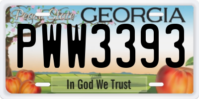 GA license plate PWW3393