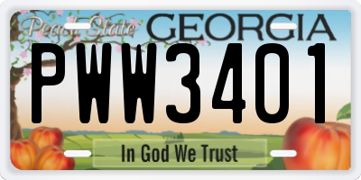GA license plate PWW3401
