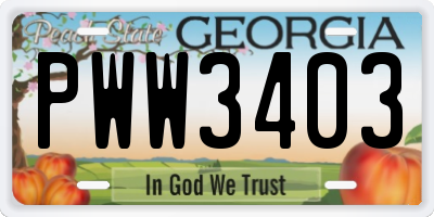 GA license plate PWW3403