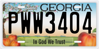 GA license plate PWW3404
