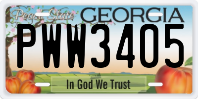 GA license plate PWW3405