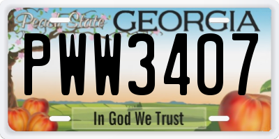 GA license plate PWW3407