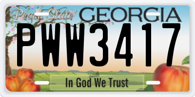 GA license plate PWW3417