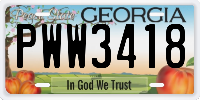 GA license plate PWW3418
