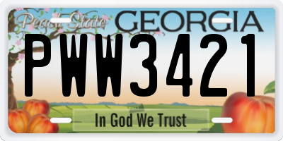 GA license plate PWW3421