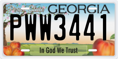 GA license plate PWW3441