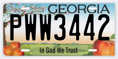GA license plate PWW3442