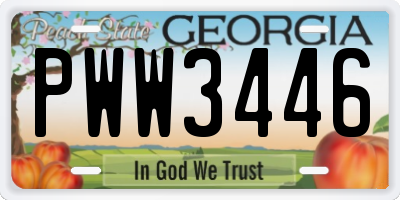 GA license plate PWW3446