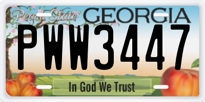 GA license plate PWW3447