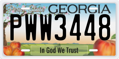 GA license plate PWW3448