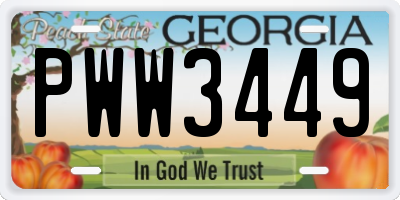 GA license plate PWW3449