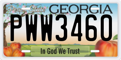 GA license plate PWW3460