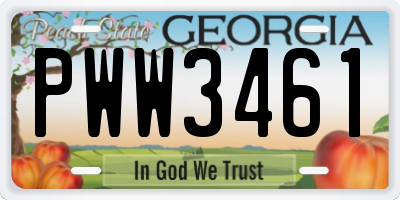 GA license plate PWW3461