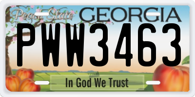GA license plate PWW3463