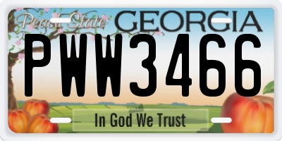 GA license plate PWW3466