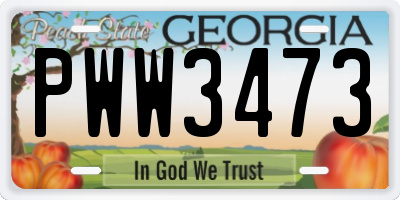 GA license plate PWW3473