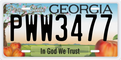 GA license plate PWW3477