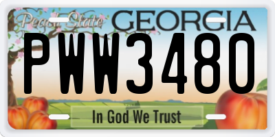 GA license plate PWW3480