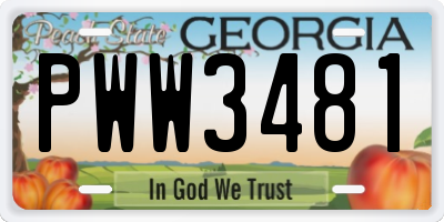 GA license plate PWW3481