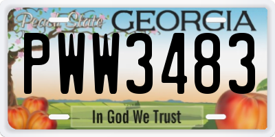 GA license plate PWW3483