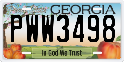 GA license plate PWW3498