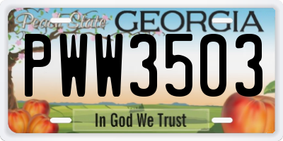 GA license plate PWW3503