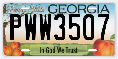GA license plate PWW3507