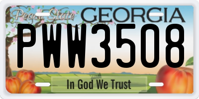 GA license plate PWW3508