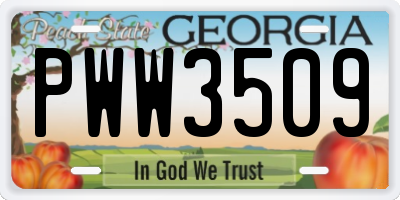 GA license plate PWW3509