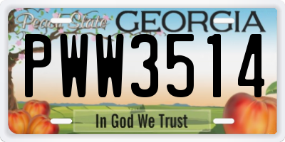 GA license plate PWW3514