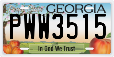 GA license plate PWW3515