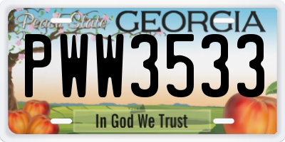 GA license plate PWW3533