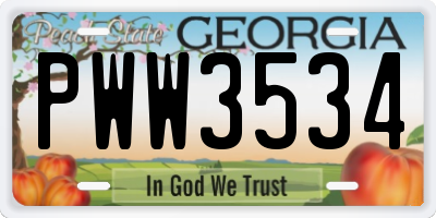 GA license plate PWW3534