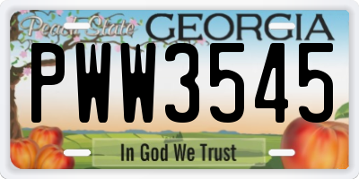 GA license plate PWW3545