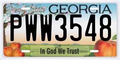 GA license plate PWW3548