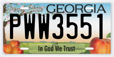 GA license plate PWW3551