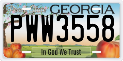 GA license plate PWW3558
