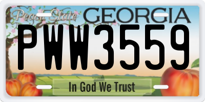 GA license plate PWW3559