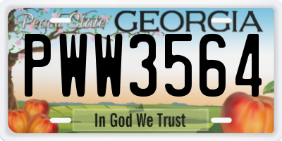 GA license plate PWW3564