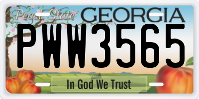 GA license plate PWW3565