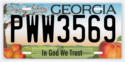 GA license plate PWW3569