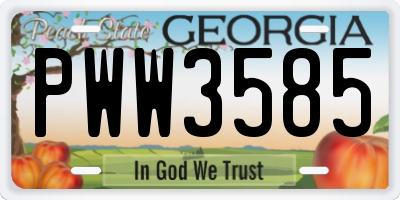 GA license plate PWW3585