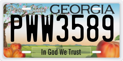 GA license plate PWW3589