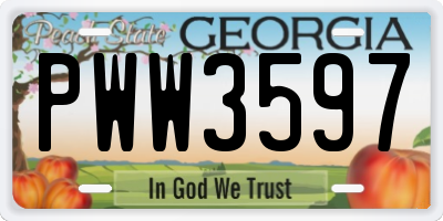GA license plate PWW3597