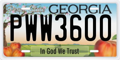 GA license plate PWW3600
